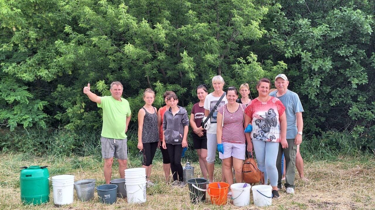 Плекаємо лавандинове поле разом