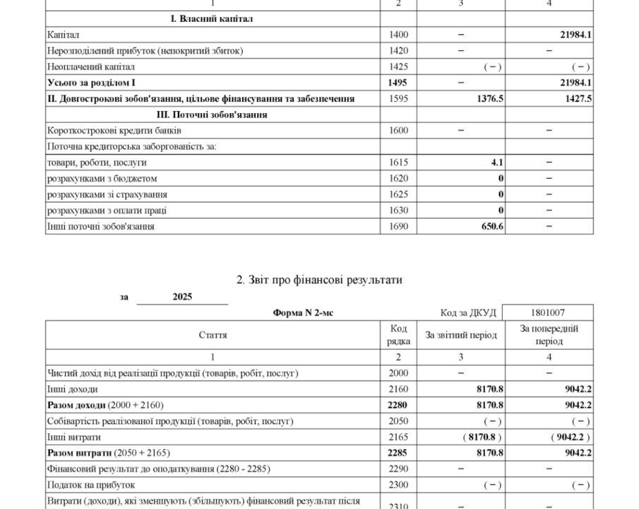 Фінансова звітність 2025 рік 